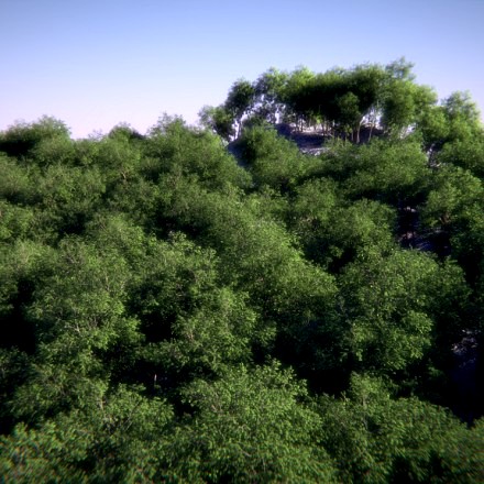 Realistic Forest with Cycles