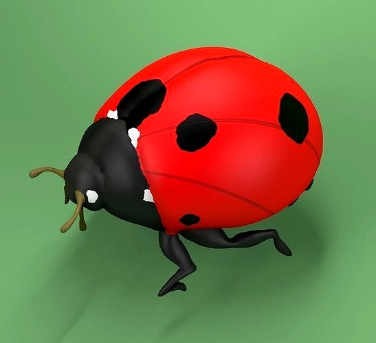 Ladybug Coccinellidae LOWPOLY
