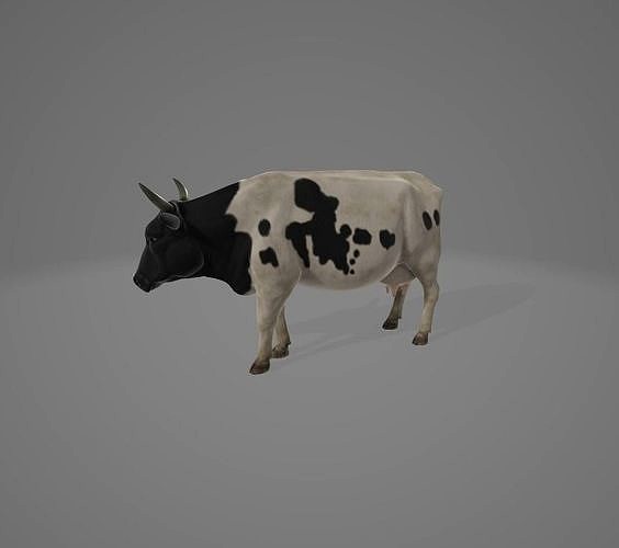 3d cow