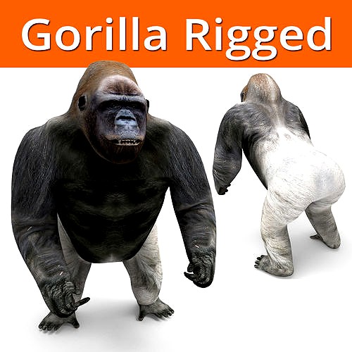 gorilla Rigged 3D Models game ready