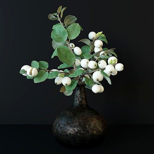 Snowberry branch in vase