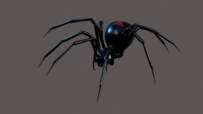 Black widow spider animating