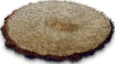 Carpet 3D Model