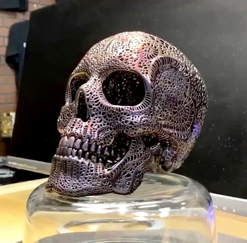 Filigree Anatomical Skull - Pre-supported STL | 3D
