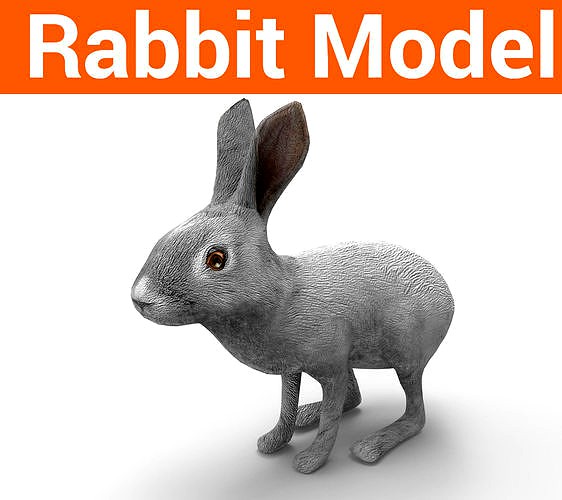 3D Rabbit low poly mode