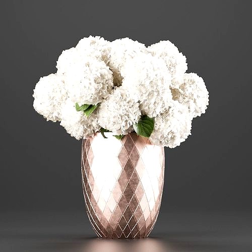 vase with white hydrangeas