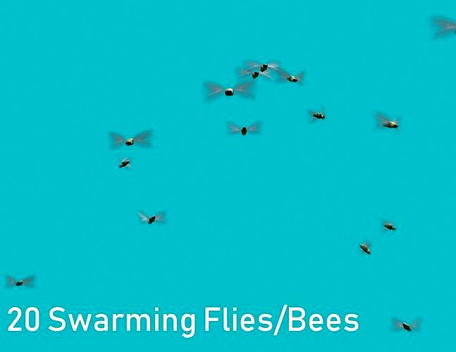 Background Flies and Bees Animated