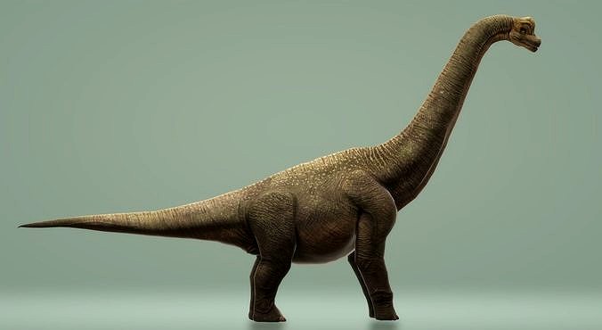 Brachiosaurus with Animation