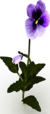 Flower 3D Model