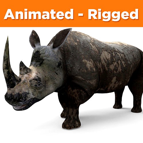 Dirty Realistic Rhino Rigged and animated 3D Model