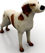 Dog 3D Model