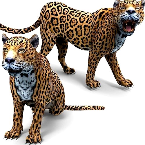 Rigged And Animated Leopard