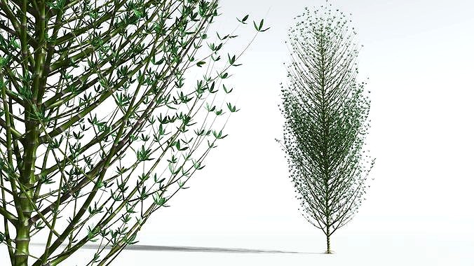 EVERYPlant Twisted Horsetail Tree 04 --12 Models--