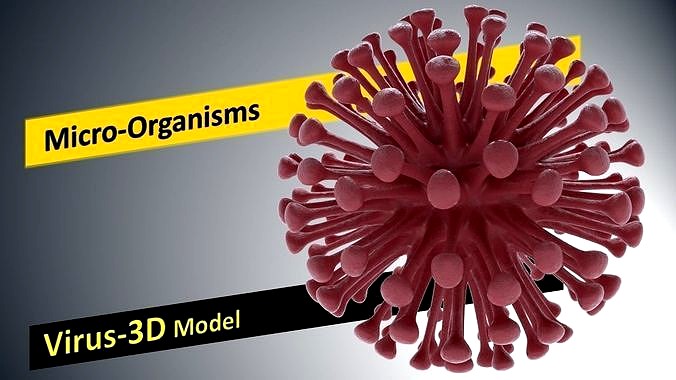 Microbiology Models-Virus 3D Model