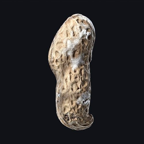 Roasted Peanut shell C