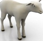 Lamb 3D Model