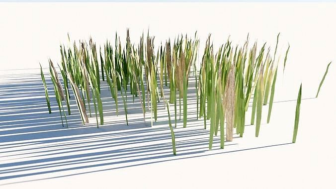 Free Blender Grass Model