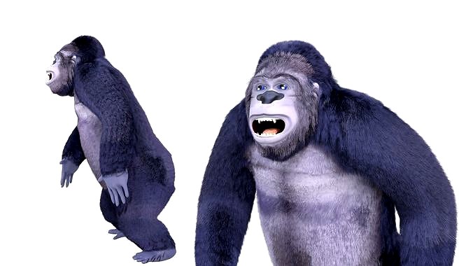Cartoon Gorilla Animated blender
