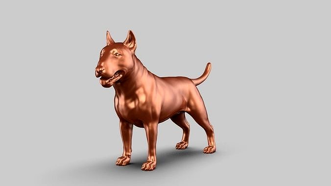 Bull Terrier Pose 01 | 3D