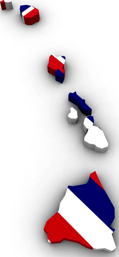 Hawaii Political Map3d model