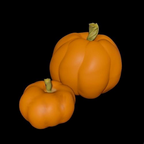 Two pumpkins Realistic pumpkin | 3D
