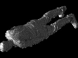 Human Body Modelling from Scan Data