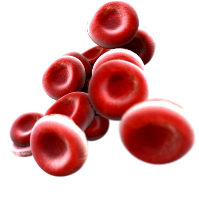 Blood Cells