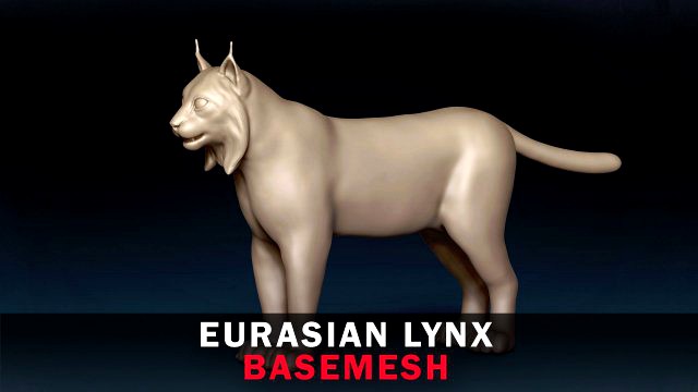 Eurasian Lynx Base Mesh