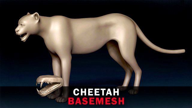 Cheetah Base Mesh