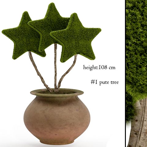 star tree moss topiary