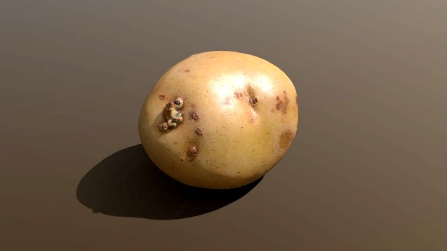 moris piper potato