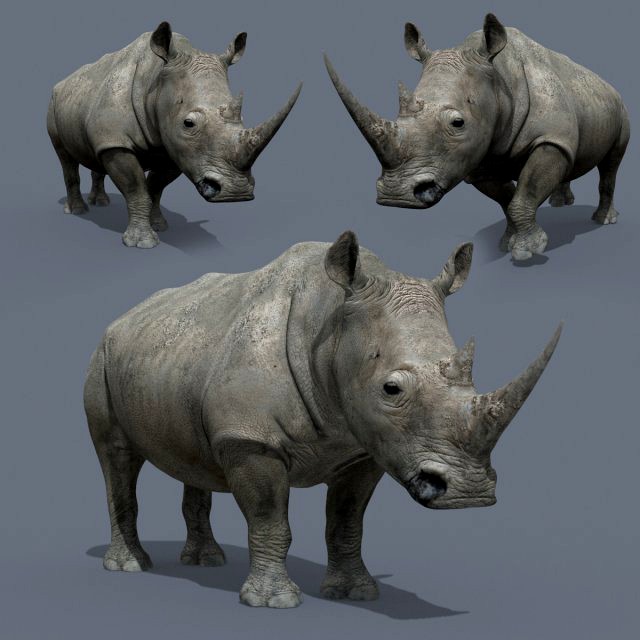 pro rhino - 8k