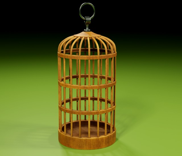 birdcage 3