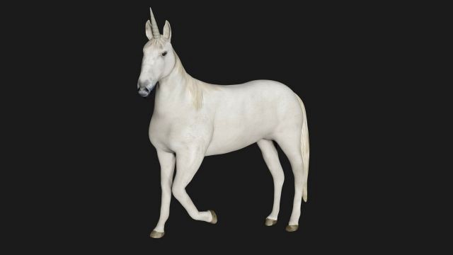 unicorn horse white