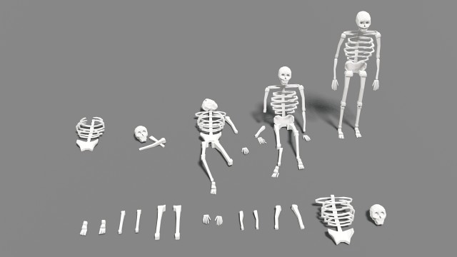 skeleton human lowpoly pack low-poly