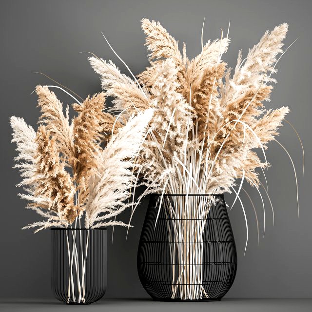 decorative bouquet of dried pampas grass 193