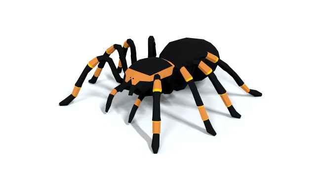 low poly cartoon tarantula