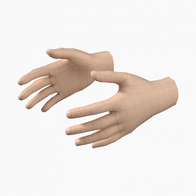 female hand base mesh 08