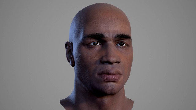 male head - 04