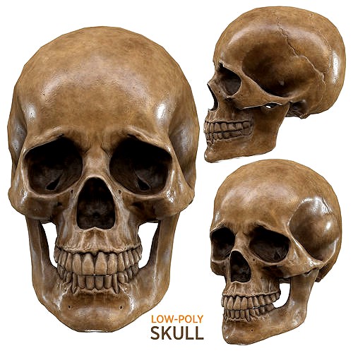Skull LOW-POLY