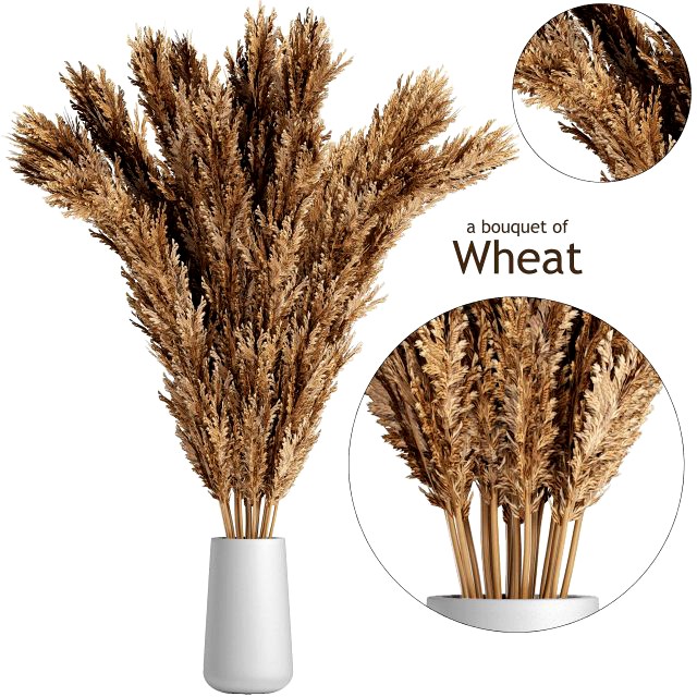 a bouquet of wheat