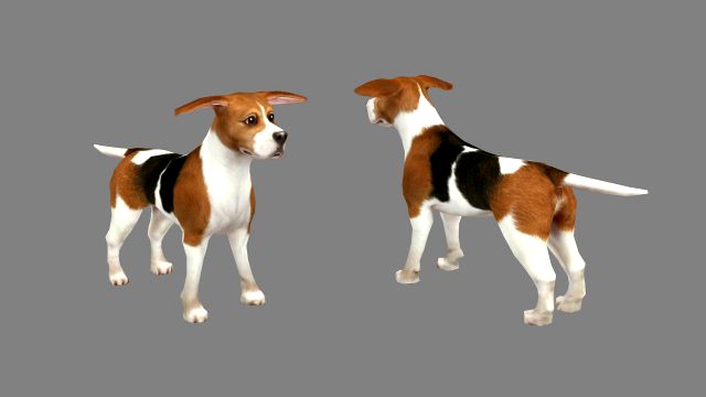 cartoon beagle - dog