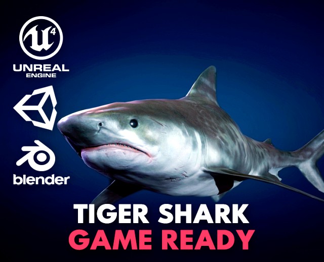 tiger shark - game ready