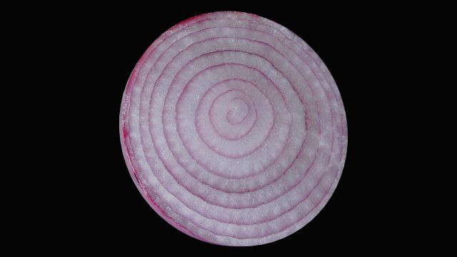 onion slice