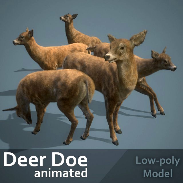 deer doe animated pbr low-poly