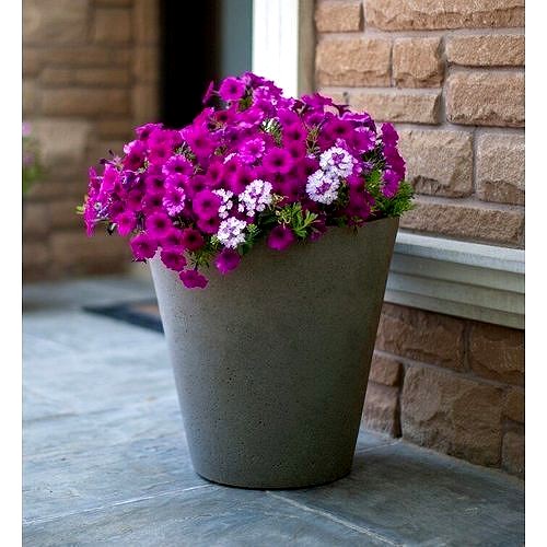 Emerson Self Watering Concrete Pot Planter  2 Colour