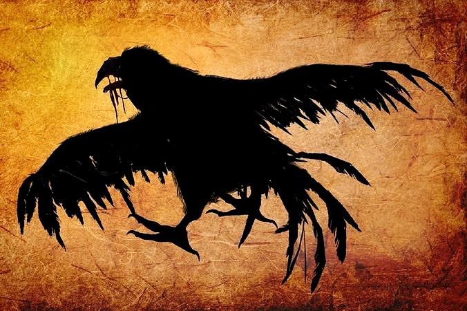 Animal - Crow