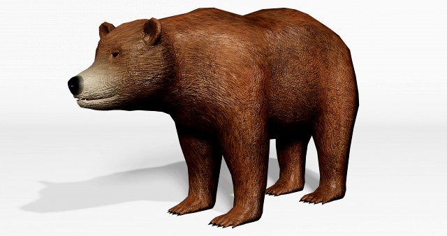 brown bear - low-poly