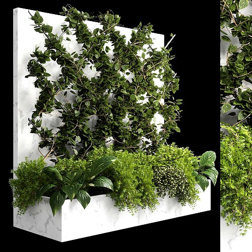 ivy parttion wall vertical garden set 02