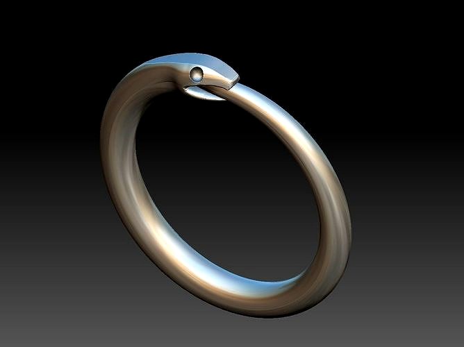 Ouroborus Straight ring | 3D